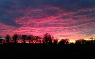 Back to Eden – Feb 2023